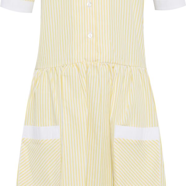 Ayr Dress Thumbnail